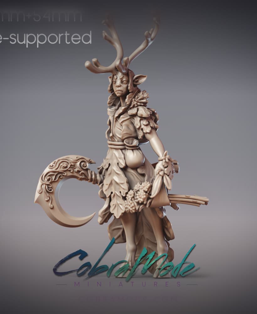 Elven Herb Master - Odhran, Ciorcal Druid (Pre-supported) 3d model