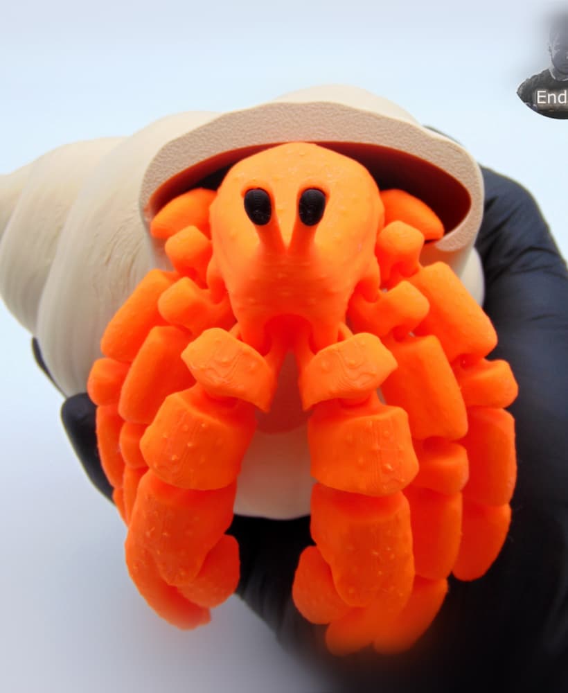 Articulated Hermit Crab - no supports 3d model