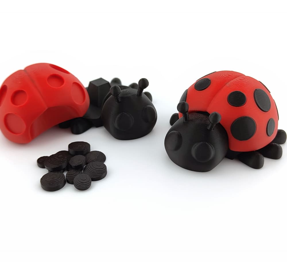 Ladybug 3d model
