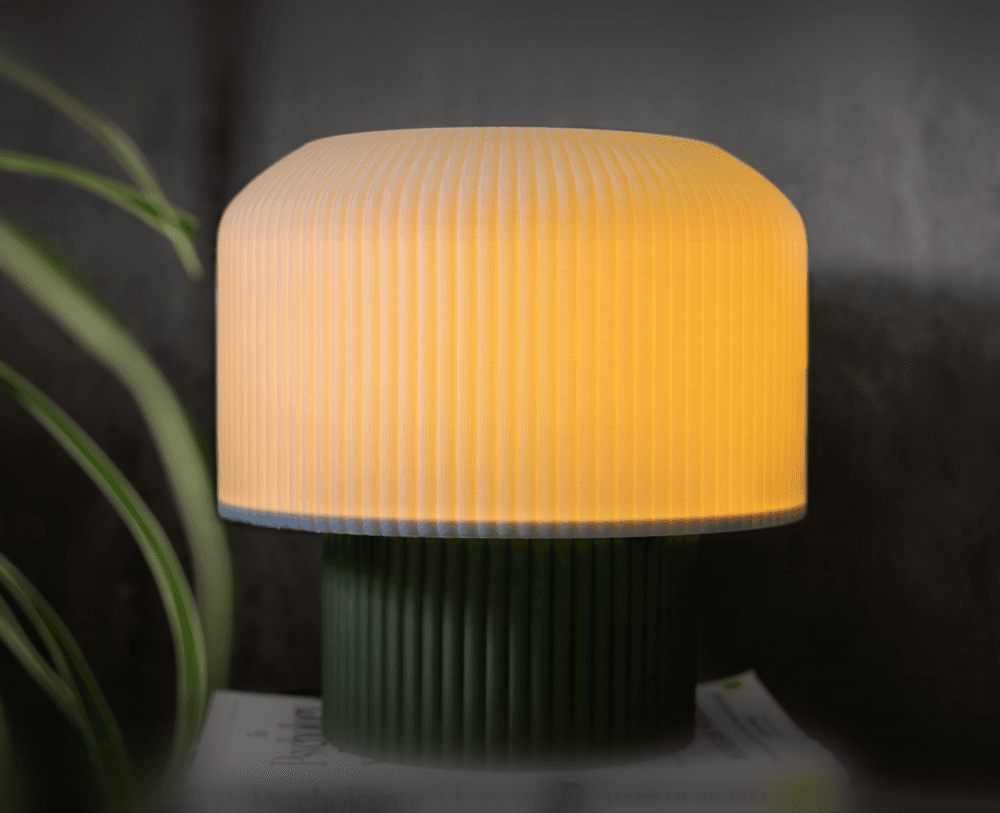 The Mushroom Lamp 3d model