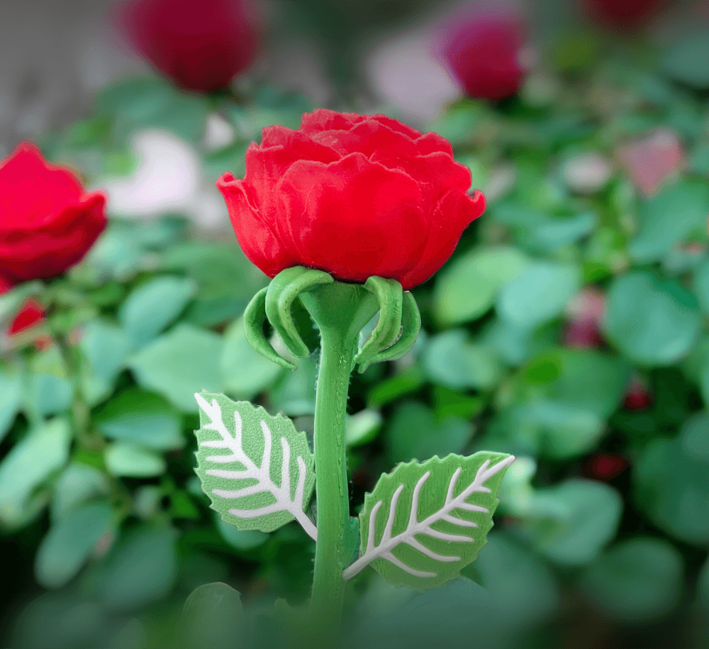 ROSE NO SUPPORT 3d model