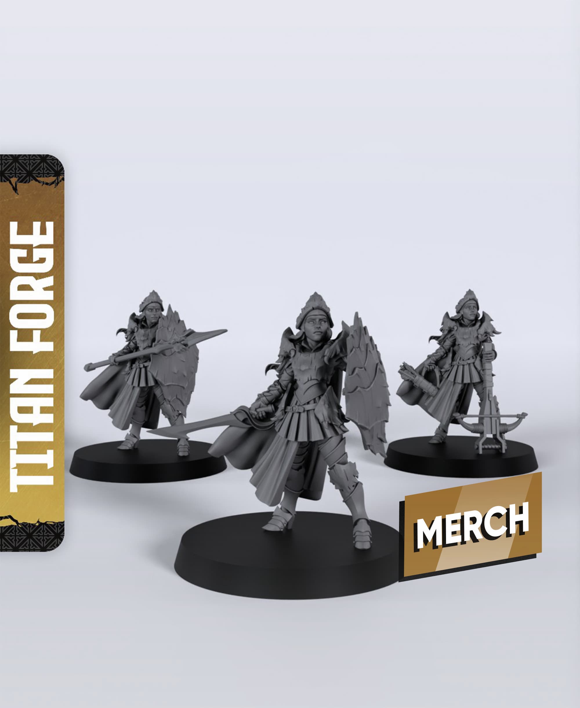 Human Female Fighter - With Free Dragon - 5e DnD Inspired for RPG and Wargamers 3d model
