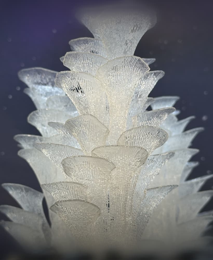 Stellar Blooms 3d model