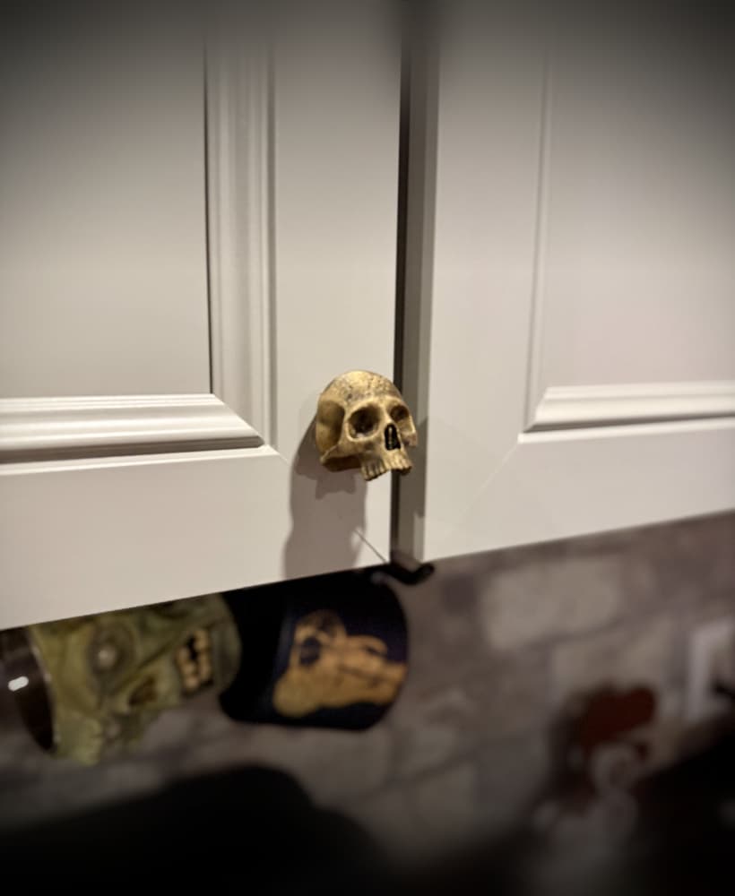 Skull drawr pull 3d model