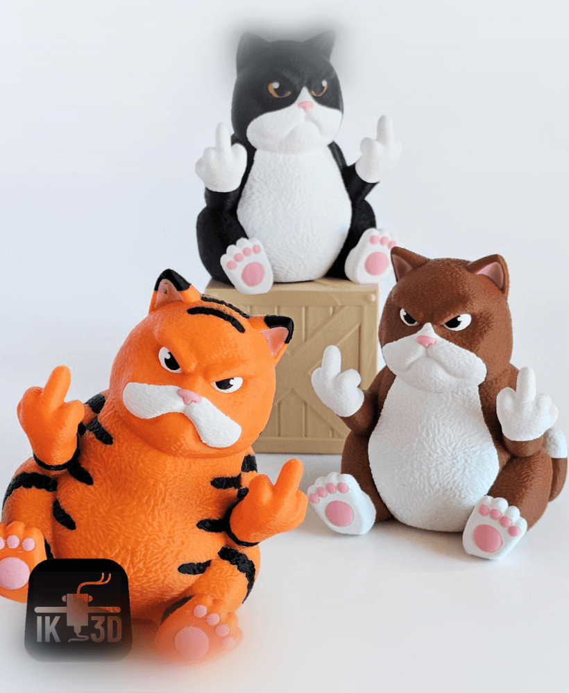 Middle Finger Cat with Surprise Crate / 3MF Included 3d model