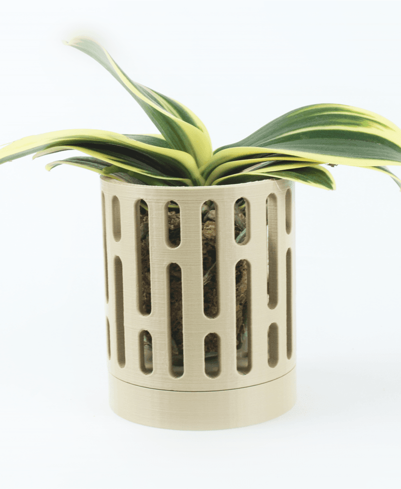 The Dendro Wall Planter STL 3D Print File, Home Decor Planter for Plants, Flowers, and Orchid 3d model