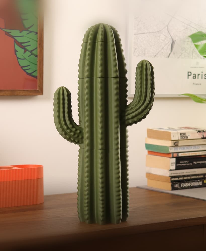 SPINA - Cactus Secret Container 3d model