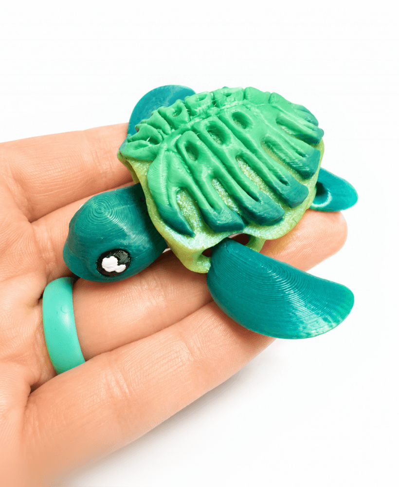 Monstera Turtle 3d model