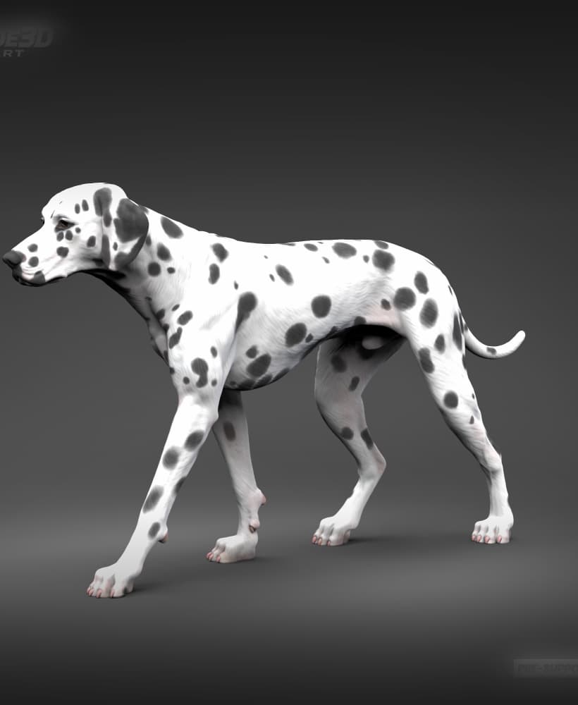Dalmatian 3D Print Model Pose 01 3d model