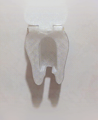 ToothBrush Holder 3d model