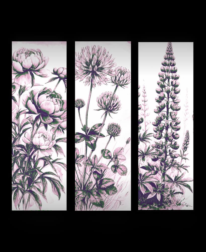 Botanical Beauty - Set of Bookmarks of Flowers 3d model
