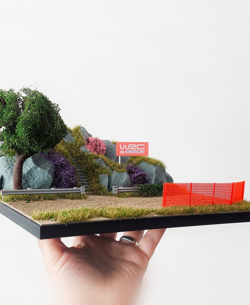 WRC Rally and Mountain Road Diorama for Hot Wheels and 1:64 Cars & Figure 3d model