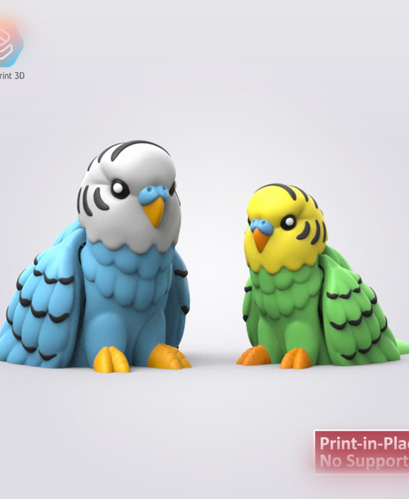 Flexi Budgie 3d model
