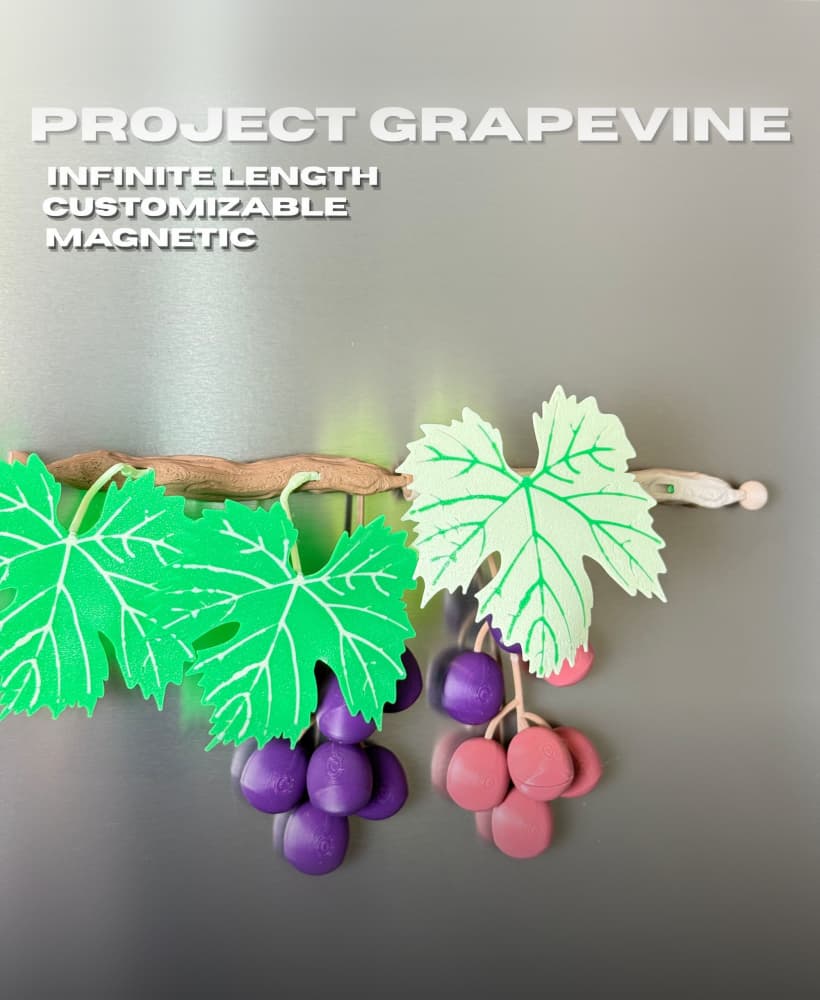 Project GrapeVine 3d model