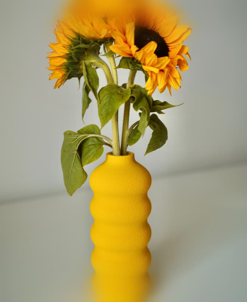 SUNNIA vase 3d model