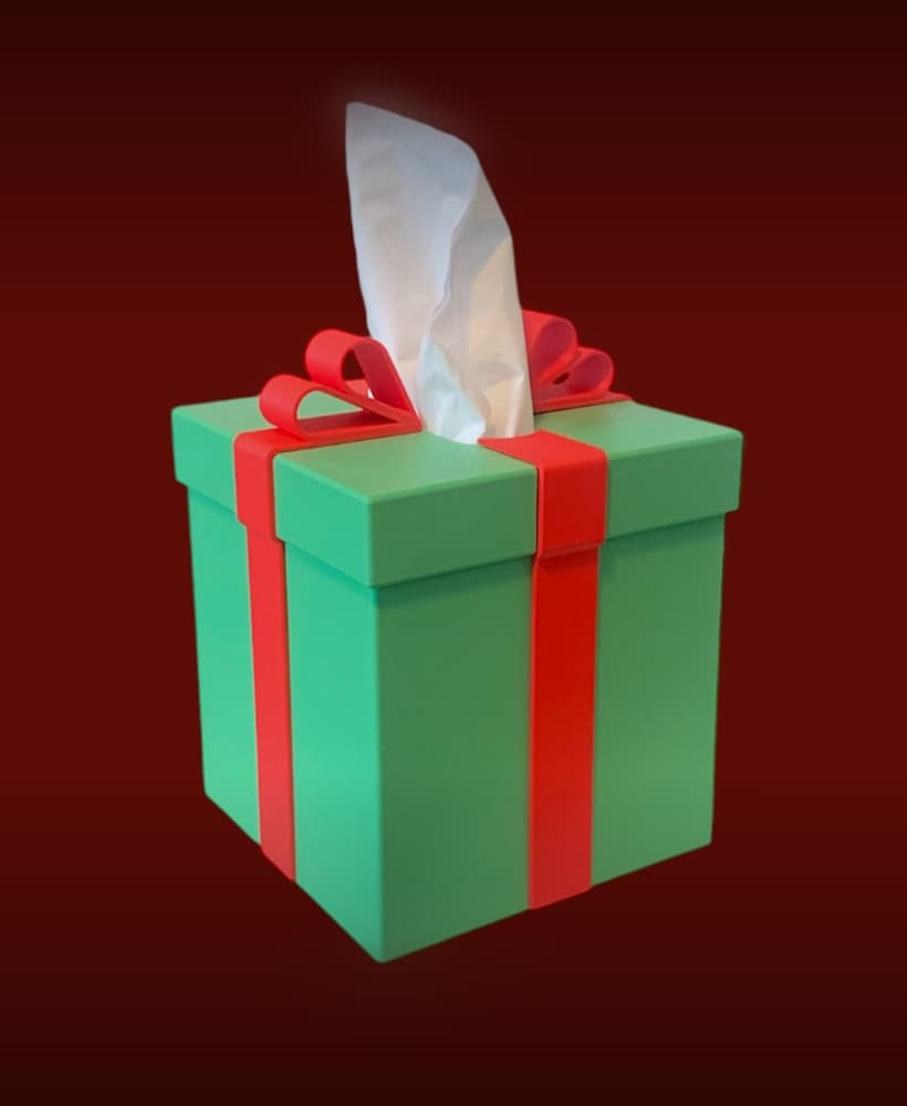 Christmas Present Tissue Box Cover 3d model