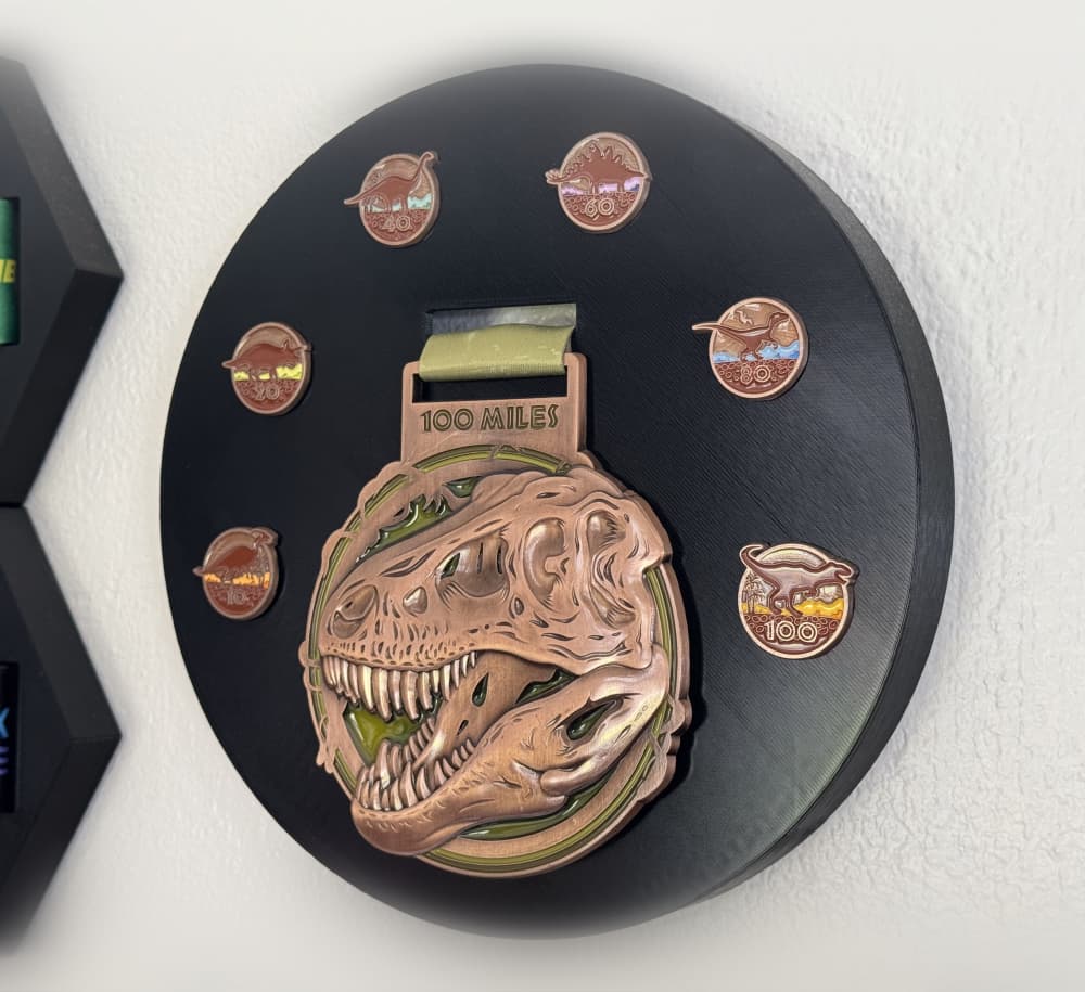 VRC Dino-Might Challenge Medal and Pins Display Plaque 3d model