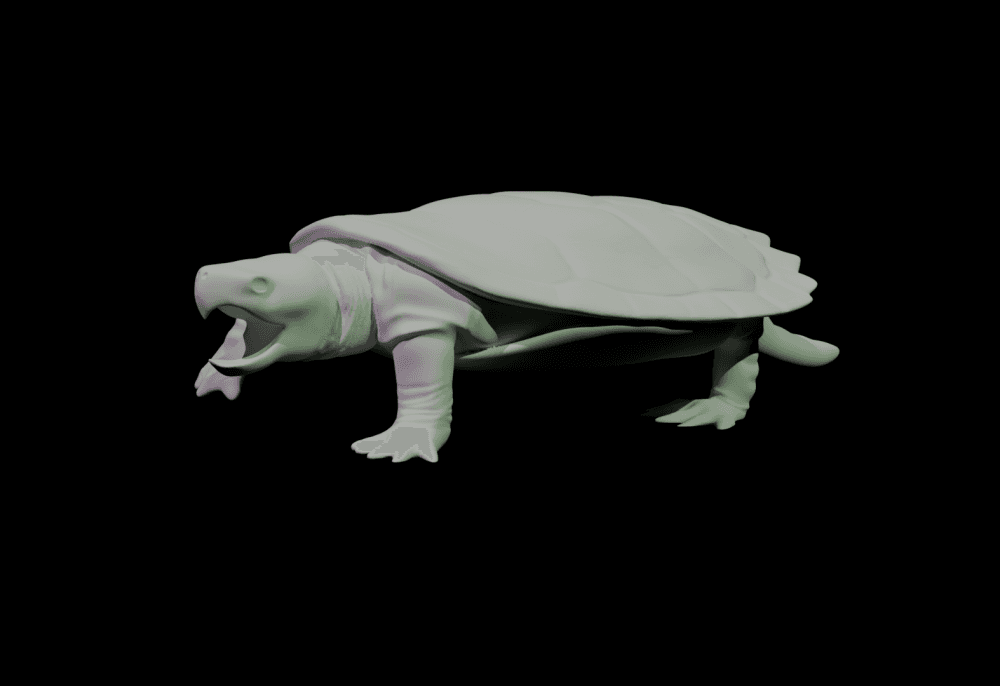 Snapping Turtle 3d model