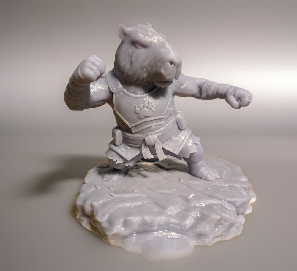 Kung Fu Capy 3d model