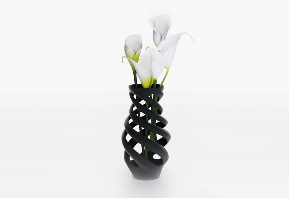 Vortex 3d model