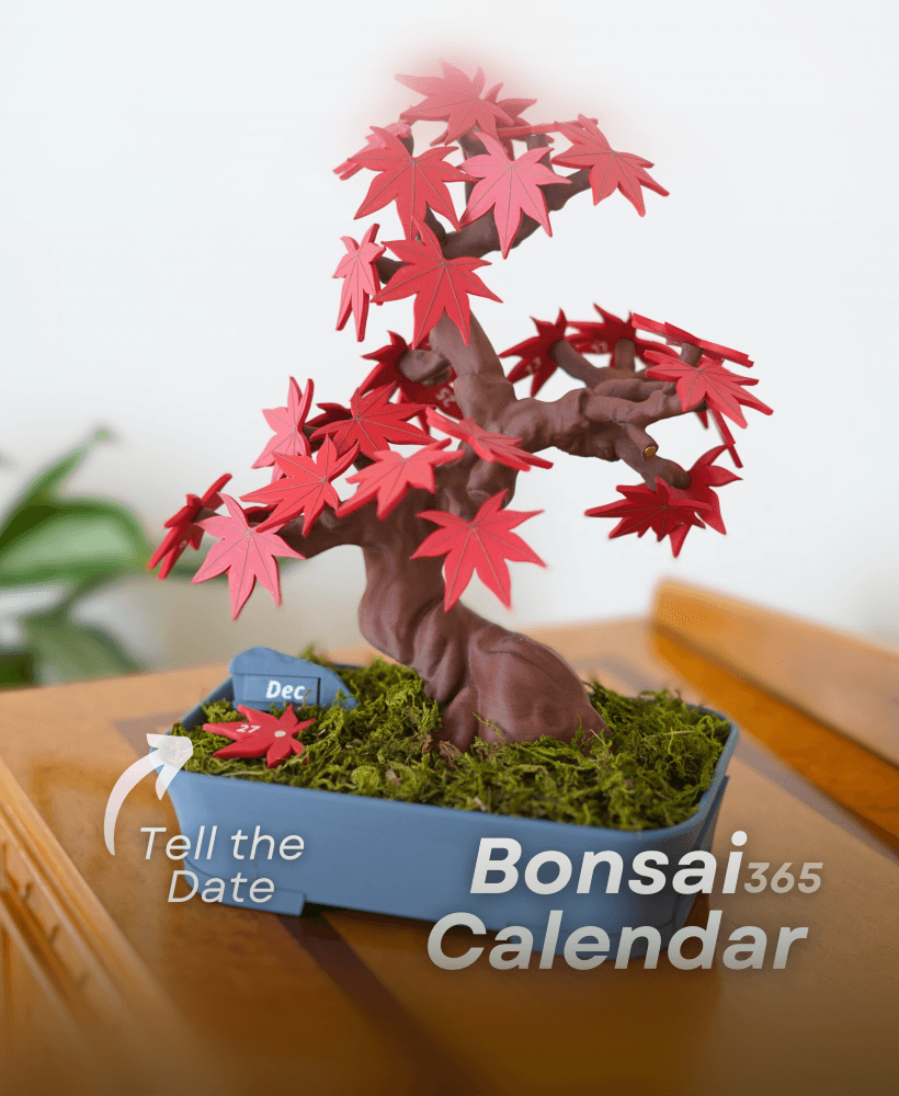 Bonsai 365 Tree Calendar - Japanese Maple Calendar for your Desk 3d model
