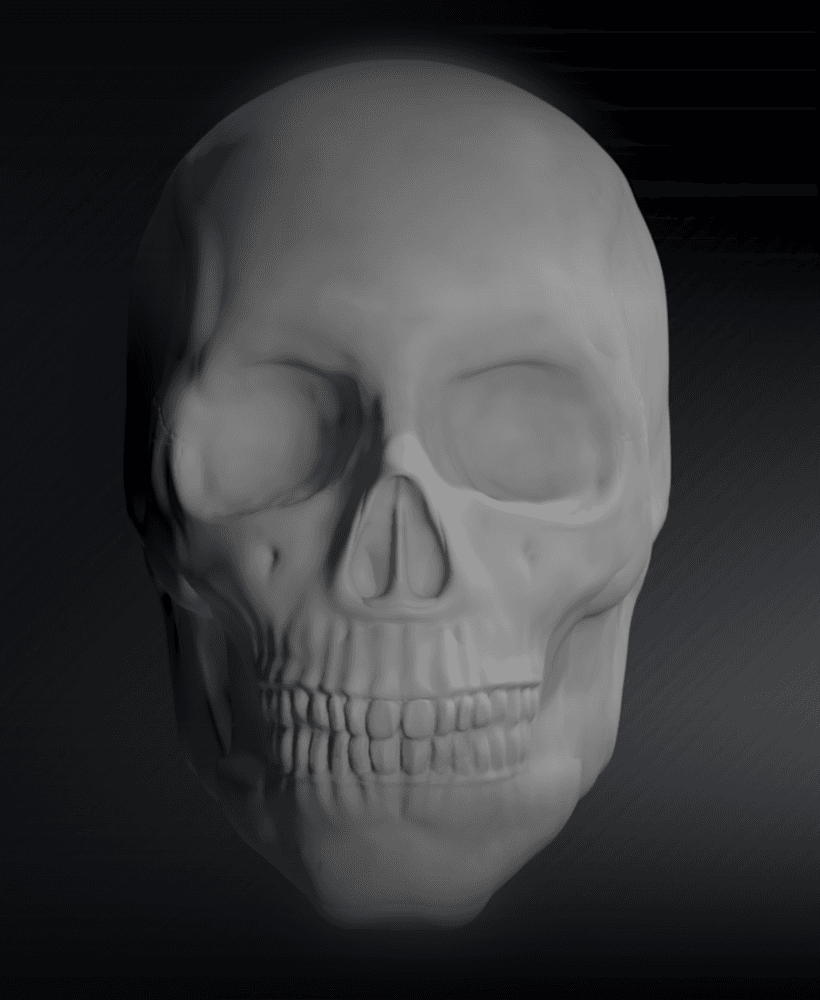 Male Skull Sculpt, Sculpture, Various Versions 3d model