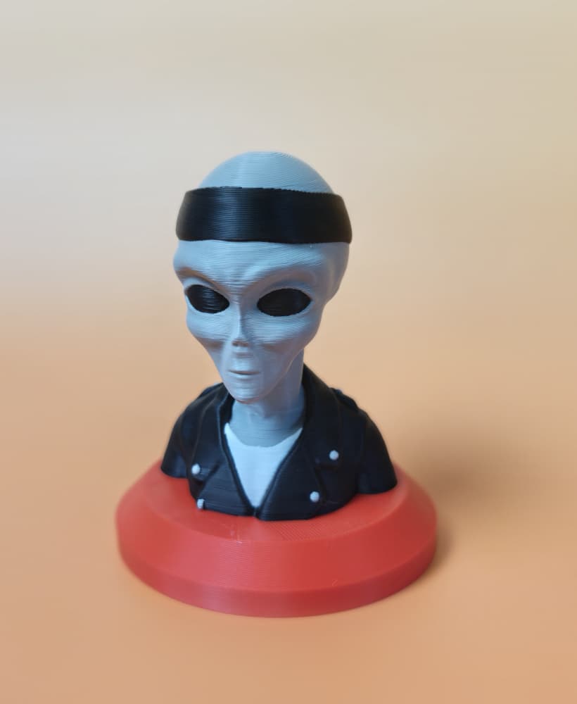 Rebel Biker Grey Alien Bust 3d model