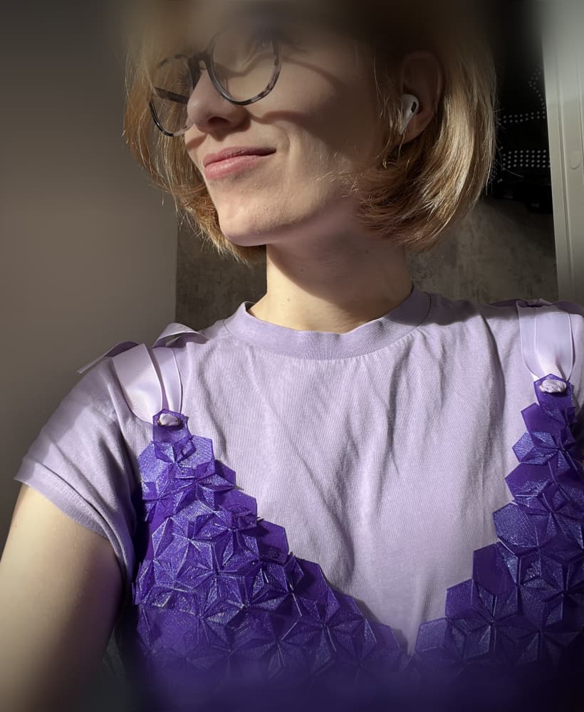 Zangle Bralette - Modular 3D Printed Top 3d model