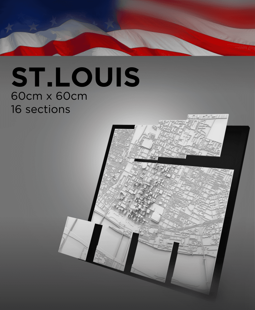 ST.LOUIS, Skyline 3d map 3d model