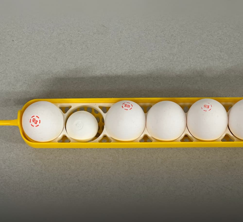 Maticoopx 30 Incubator Tray for Chicken Eggs 3d model
