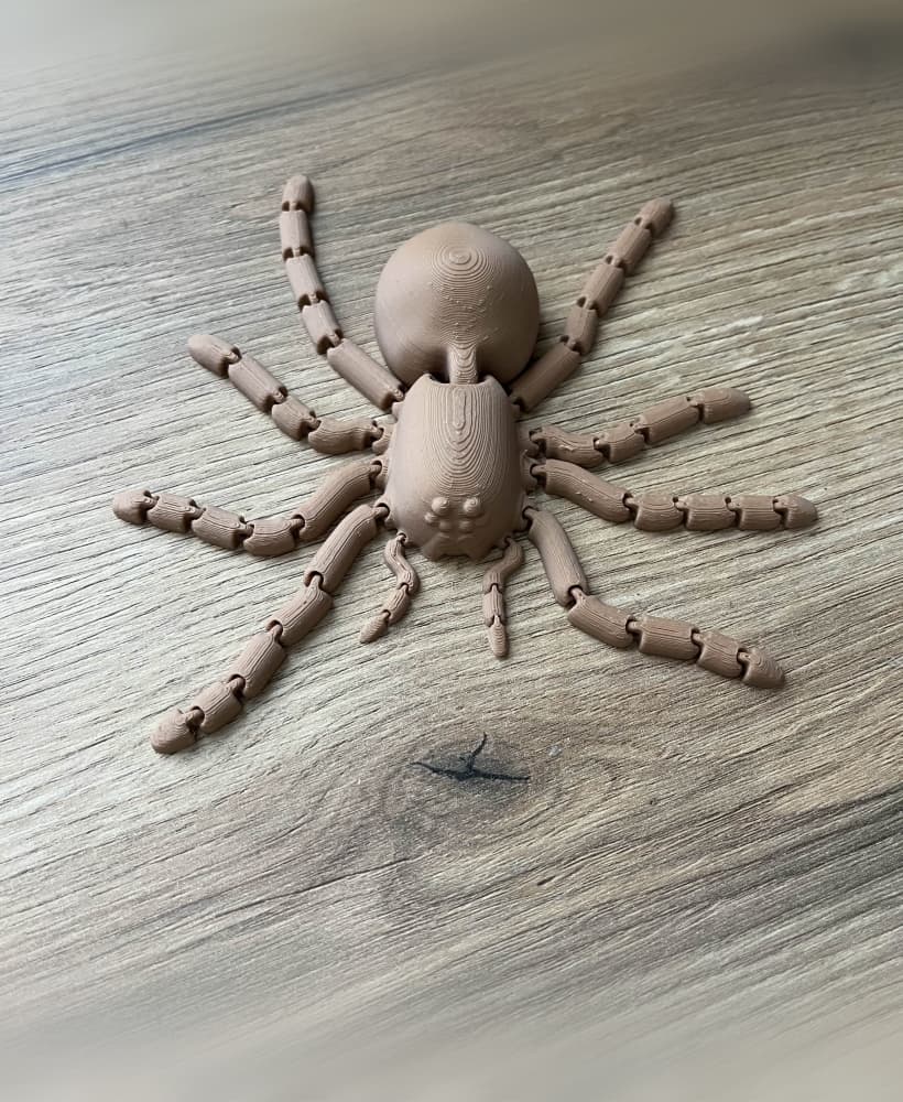 Articulated real life size Tarantula Spider 3d model