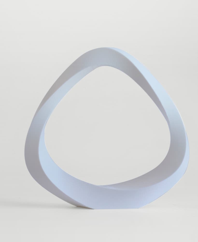 Soft Edge Loop 3d model