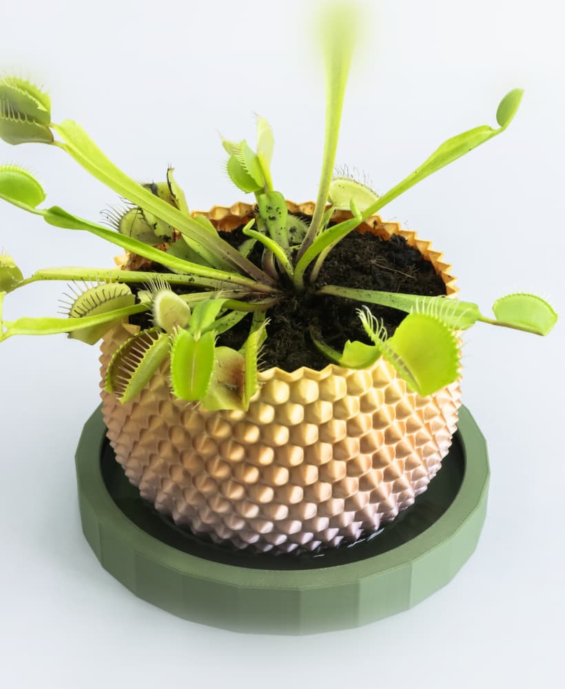 SPATHI Planter 02 // Small Plant Pot or Container 3d model
