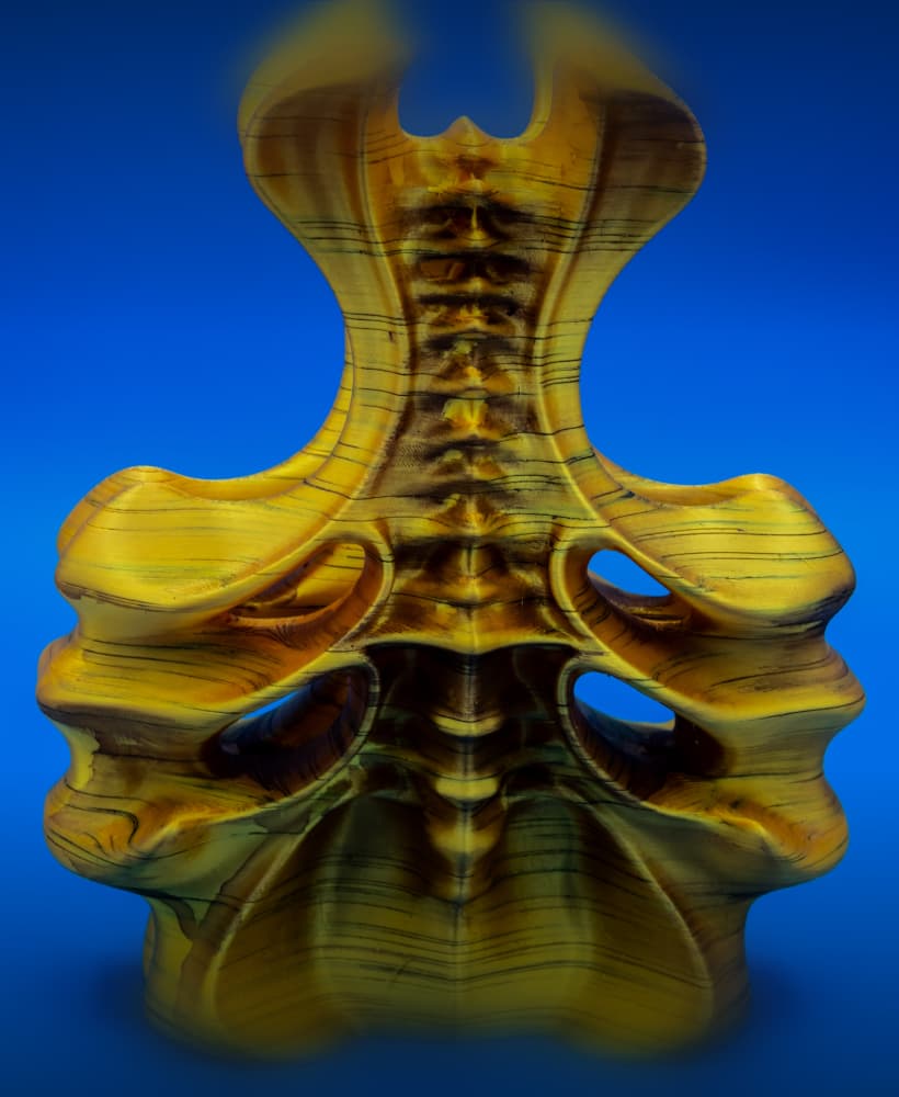 Vessel (Pre Supported) 3d model