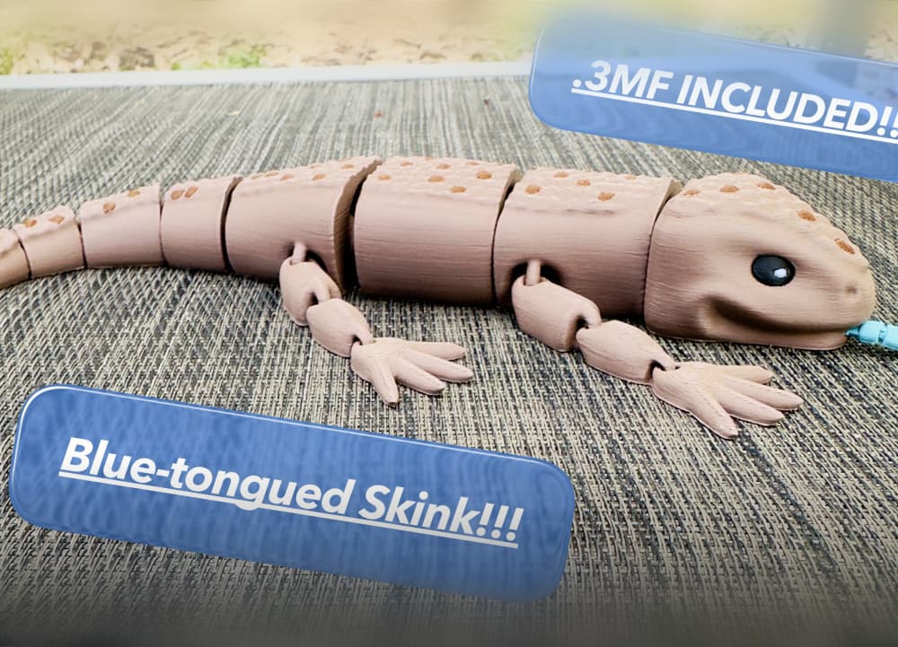 Blue-tongued Skink Subscriber Exclusive 3d model