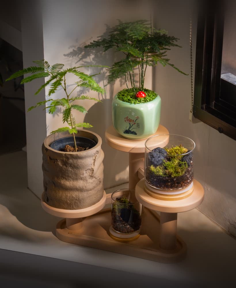 Plant Display Stand 3d model