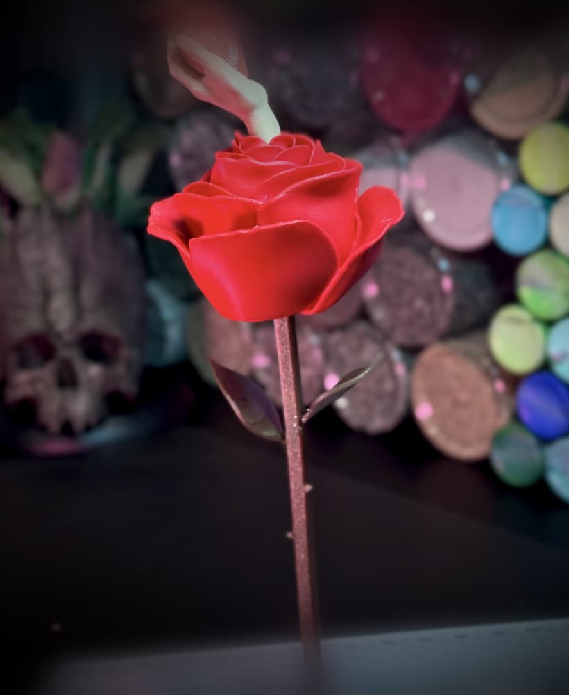 Rose of Life 3d model