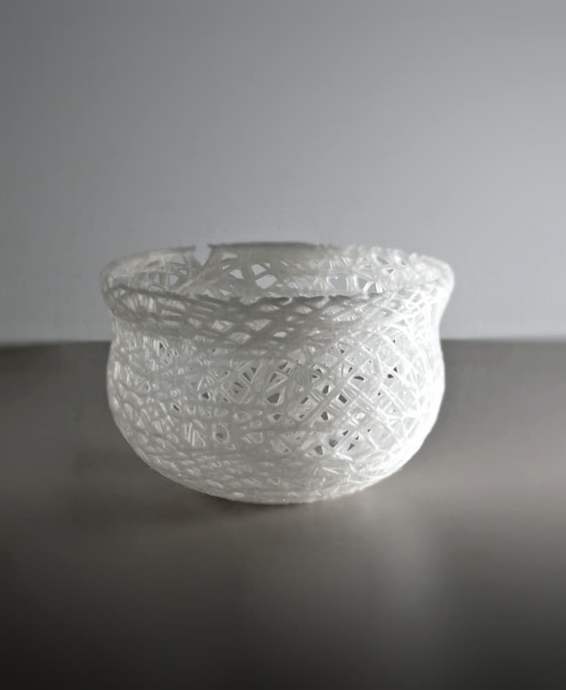 Ice Bowl 3d model