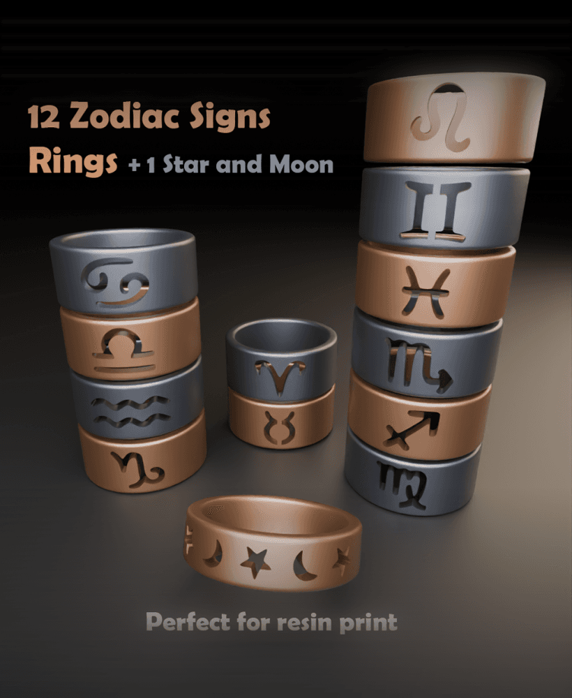 12 Zodiac Sign Rings and 1 extra Ring 3d model