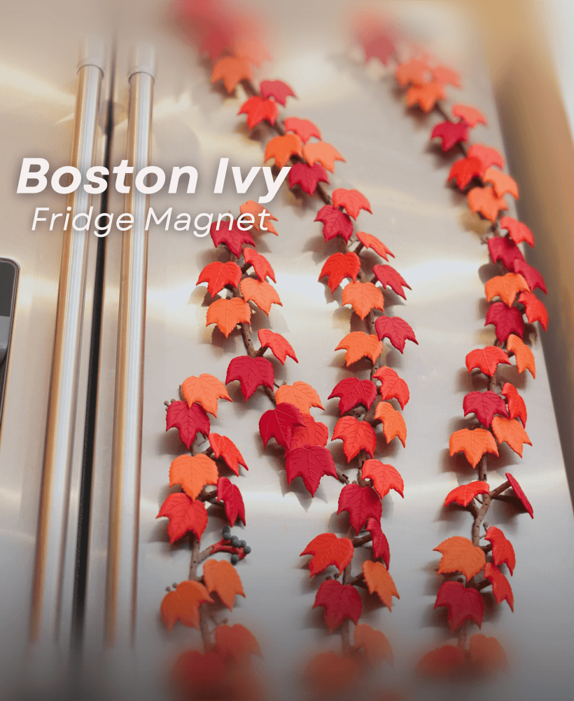 Boston Ivy Fridge Magnet 3d model