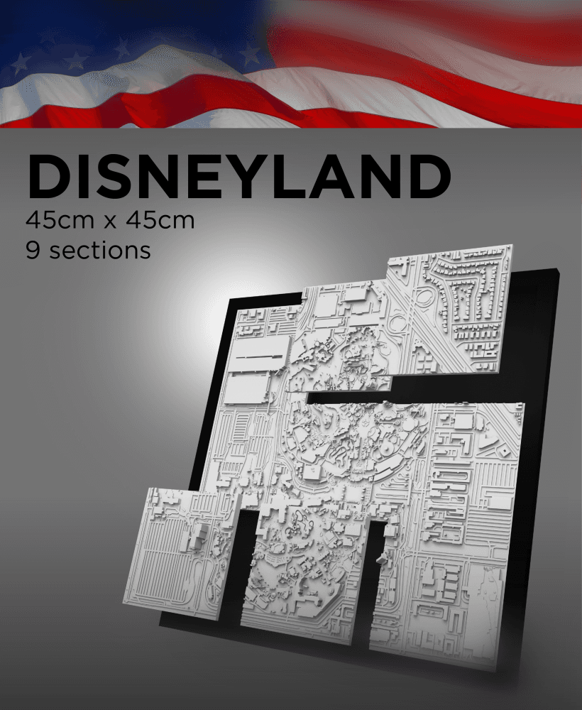 DISNEYLAND, Skyline 3D map 3d model