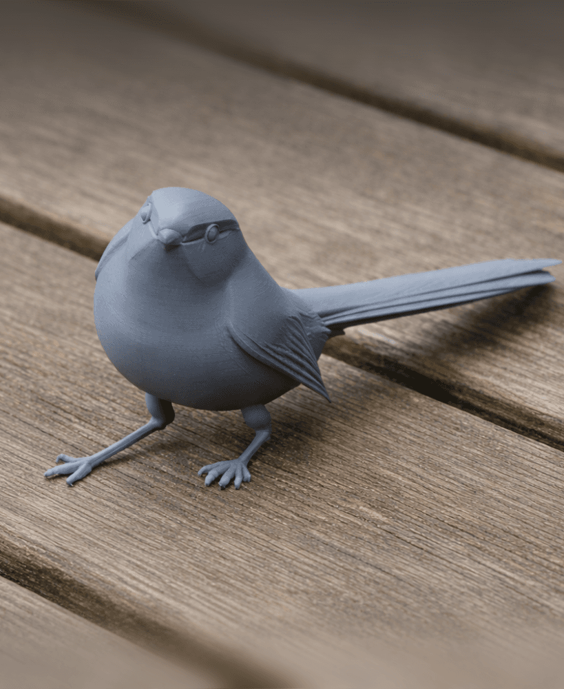 Cettia Bush Warbler Bird 3d model