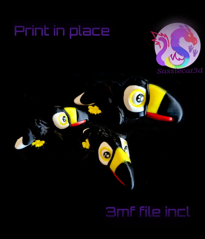 Hatchling Toucan (Personal Use) 3d model