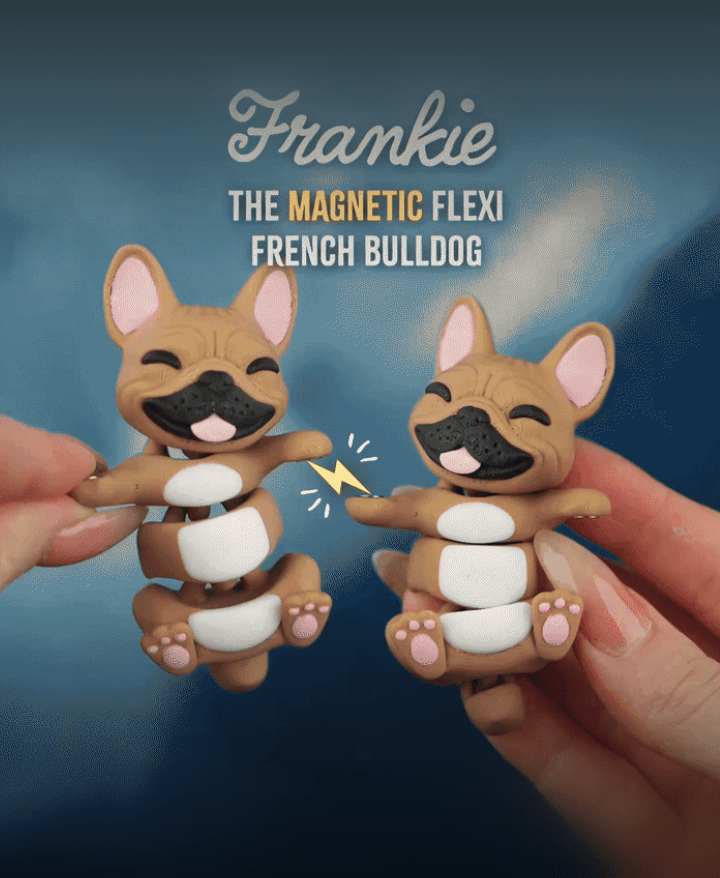 Frankie, the Flexi French Bulldog - Magnetic Hand-Holding Companion 3d model