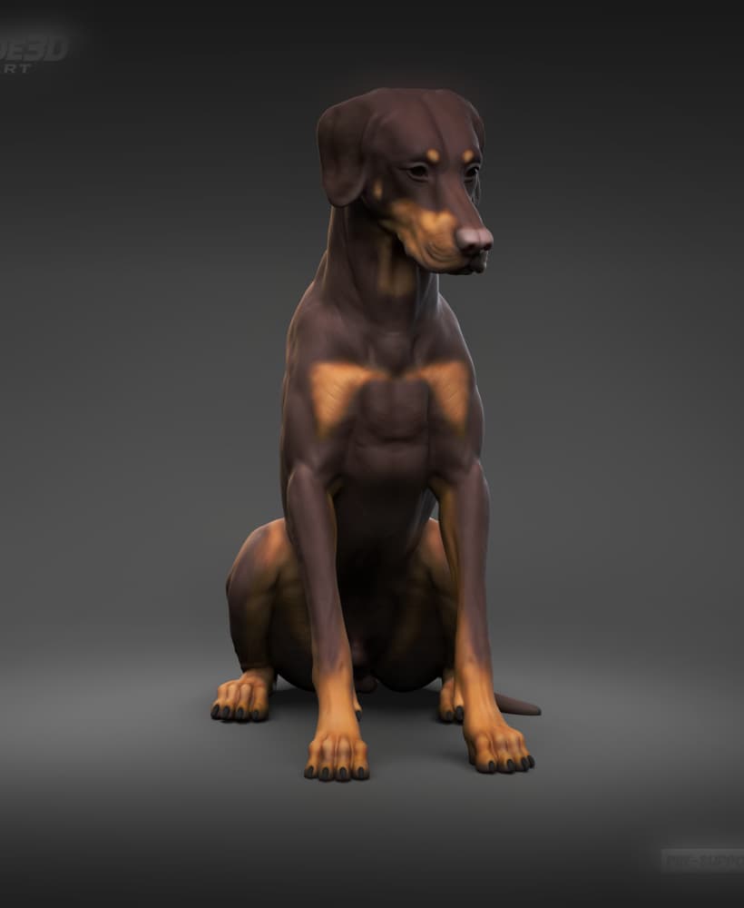Doberman Pinscher Natural Ears Natural Tail 3D Print Pose 07 3d model