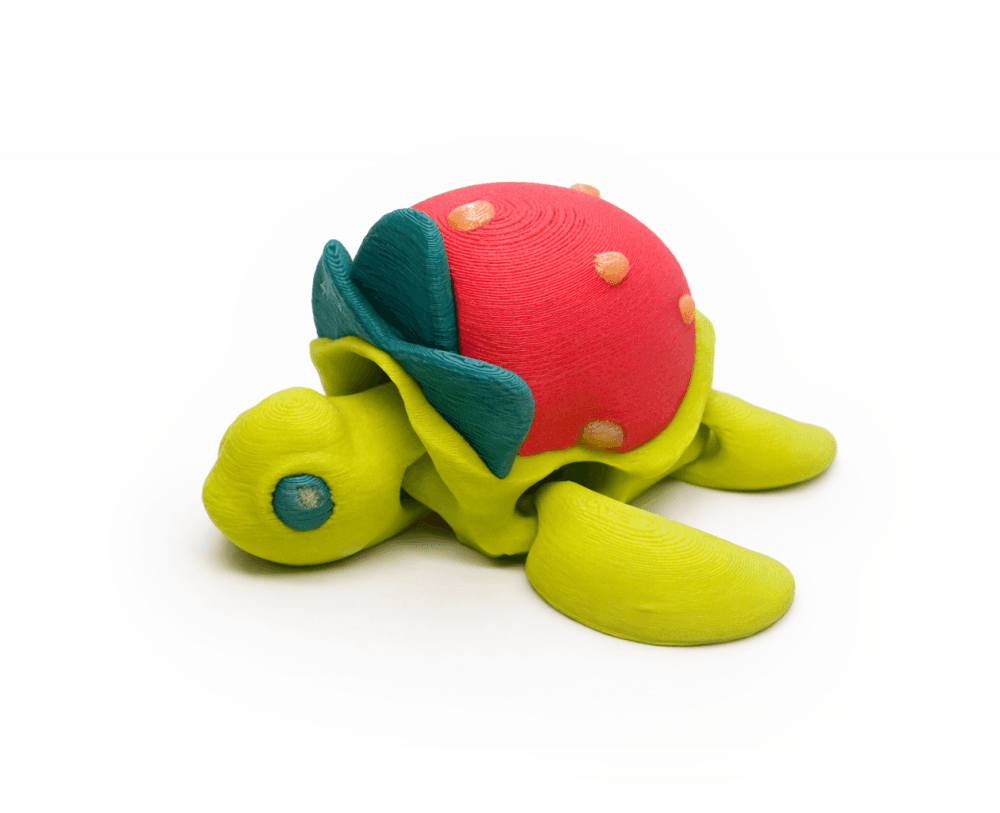 Strawberry Turtle 3d model