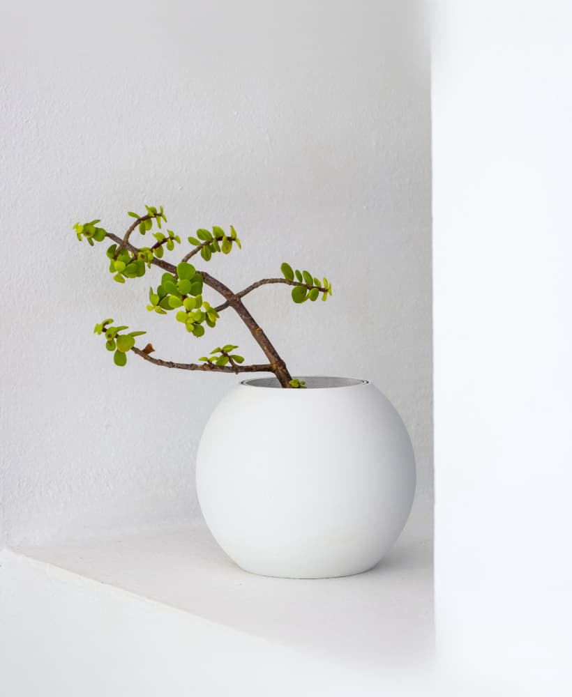 Planter | Boem x Minimalissimo 3d model
