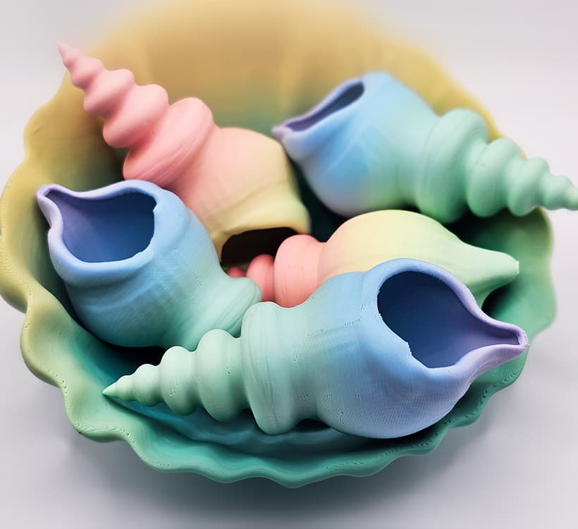 SeaShell 3d model