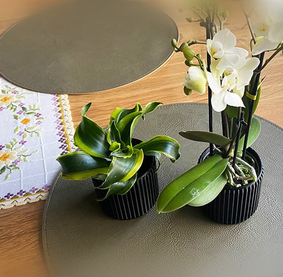 0LBJ_Ribplanter_8cm.stl 3d model