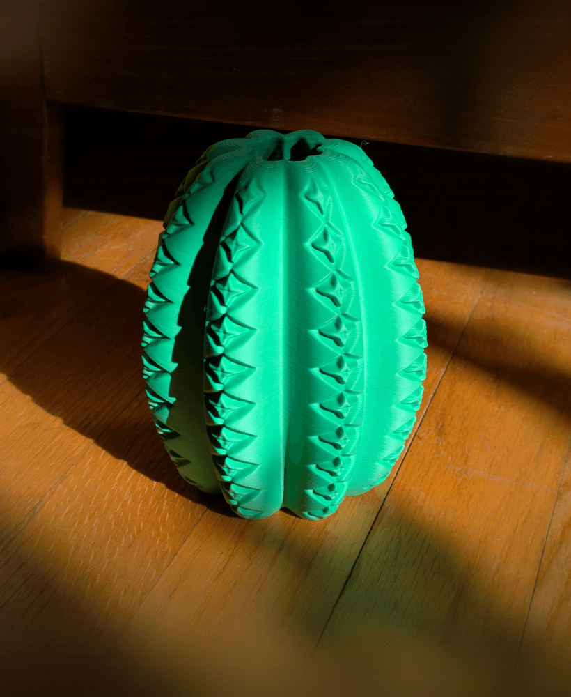 Meloc Vase - Cactus Vase 3d model